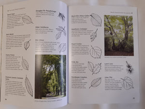 Book - The Green Wood Companion