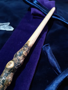 Wooden Wand #16 - Cornish Holly