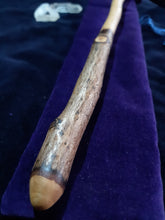 Load image into Gallery viewer, Wooden Wand #19 - Cornish Hawthorne
