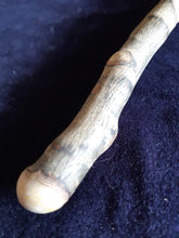 Load image into Gallery viewer, Wooden Wand #22 - Cornish Hawthorne
