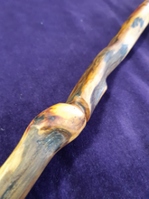 Load image into Gallery viewer, Wooden Wand #8 - Cornish Alder Root
